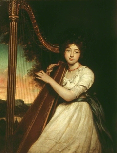 A Young Lady Playing the Harp by James Northcote