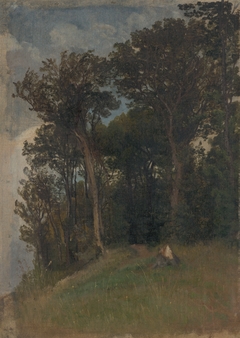 At the Edge of a Forest by Friedrich Carl von Scheidlin