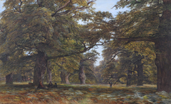 Beech Forest, England 1877 by Edmund George Warren