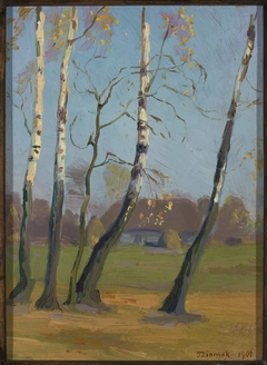 Birch trees near a village by Teodor Ziomek