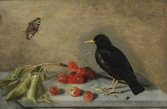 Blackbird, Butterfly and Cherries by Ambrosius Bosschaert II