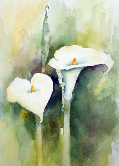 Calla Lilies III by Camille Collins