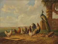 Chickens and Peacock in a Landscape by Albertus Verhoesen