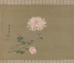 Chrysanthemum by Itō Jakuchū