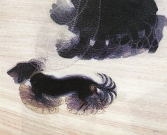 Dynamism of a Dog on a Leash by Giacomo Balla