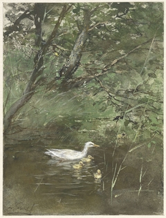 Eendjes in het water by Willem Maris