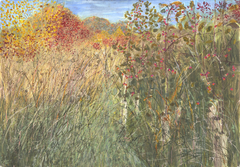 FarmED autumn woodland margin with spindle berries by Judith Yarrow