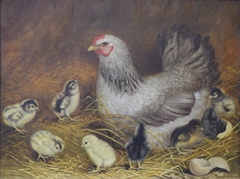 Hen with Baby Chicks by Ben Austrian