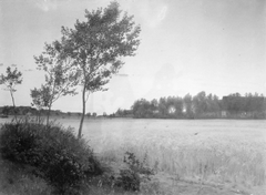 Juniaften. Landskab ved Rørvig by Vilhelm Kyhn