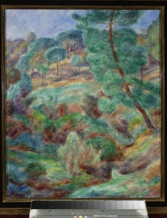 Landscape from Saint-Tropez – Stone pines by Józef Pankiewicz