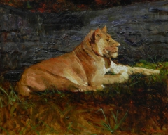 Lioness by Ron Barsano