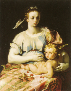 Madonna and Child by Cornelis van Haarlem