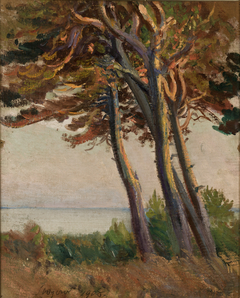 Pines at Połąga by Leon Wyczółkowski