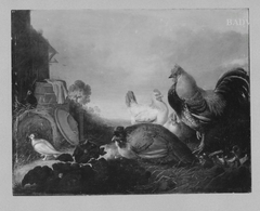 poultry- yard by Gijsbert d'Hondecoeter