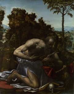 Saint Jerome in Penitence by Il Sodoma