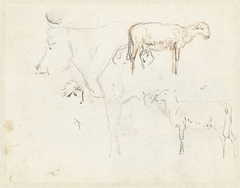 Schetsen van een koe en schapen by Pieter Gerardus van Os