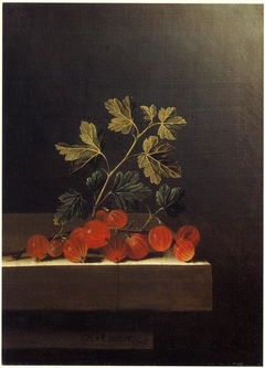 Spray of Red Gooseberries on a Stone Plinth by Adriaen Coorte