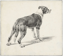 Staande hond, naar rechts by Pieter van Bloemen