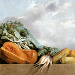 Still-life of pumpkins, zuchini and leavy greens (paksoi) by Albert Eckhout