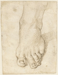 Studie van een linkervoet, van voren by Unknown Artist