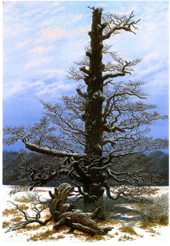 The Oaktree in the Sno by Caspar David Friedrich