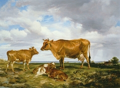 The Victoria Cow by Thomas Sidney Cooper