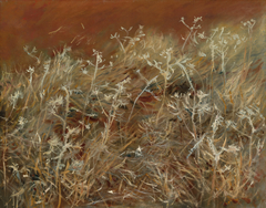 Thistles by John Singer Sargent