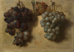 Two bunches of grapes by Nicolas de Largillière