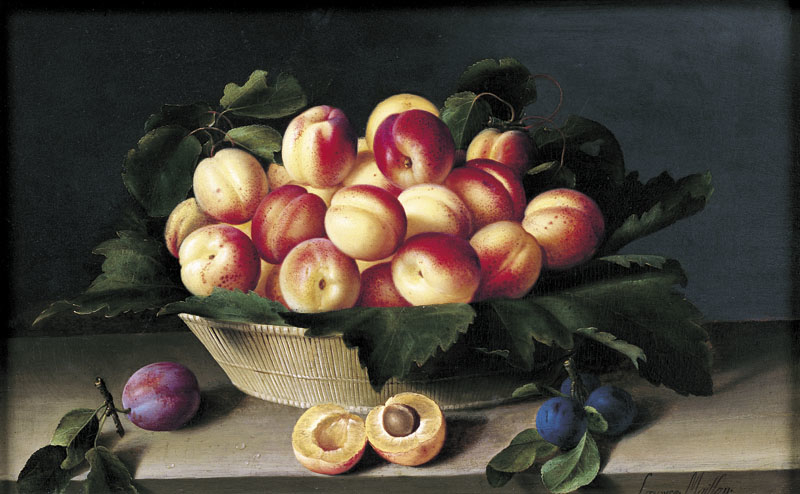 Exhibit image