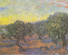 olive grove by Vincent van Gogh