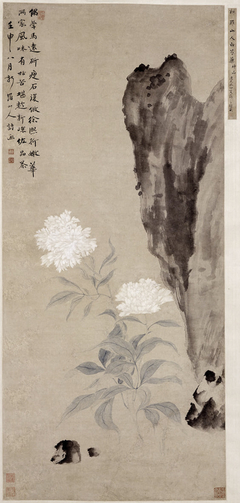 White Peony and Rocks by Hua Yan