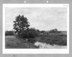 Wiesenlandschaft mit Bach by Philipp Röth