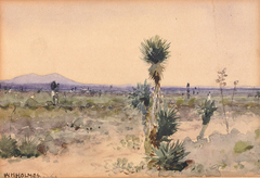 Yuccaland--Chihuahua, Mexico by William Henry Holmes