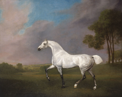 A Grey Horse by George Stubbs