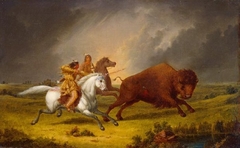 Assiniboine Hunting Buffalo by Paul Kane