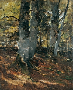 Beechwoods at Polling, Bavaria by Frank Duveneck