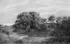 Bog on a Wooded Islet by Dankvart Dreyer