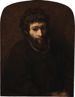 Bust of a Young Bearded Man by Rembrandt