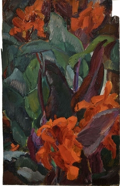 Canna by Kaita Murayama