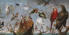 Concert of the Birds by Frans Snyders