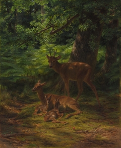 Deer in Repose by Rosa Bonheur