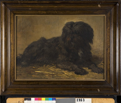 Een langharige hond by Henriëtte Ronner-Knip