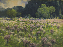 Field of Joe Pie Weeds (Pride of the Meadow) by William Henry Holmes