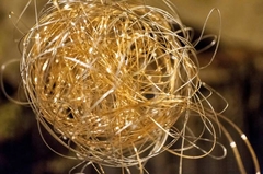 Golden Yarn by Rosa Migliardi