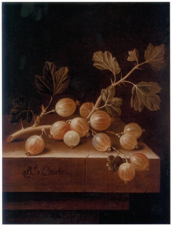 Gooseberries by Adriaen Coorte