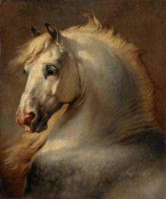 Head of a Horse by Eugène Verboeckhoven