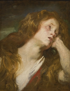 Head of a Young Woman by Anthony van Dyck