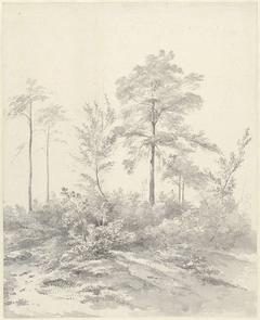 Hoge bomen tussen struiken by Abraham Johannes Ruytenschildt