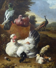 La poule blanche by Melchior d'Hondecoeter