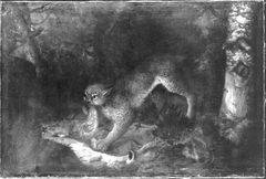 Luchs mit Beute by Franz Rösel von Rosenhof